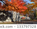 盛岡城堡秋葉公園廢墟 133797328