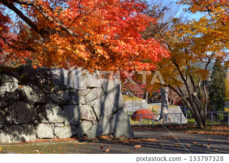 盛岡城堡秋葉公園廢墟 133797328