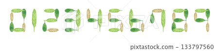 Leaf numbers illustration set 133797560