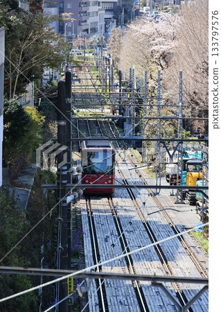 東京櫻花電車駛過千歲橋，開往早稻田方向 133797576