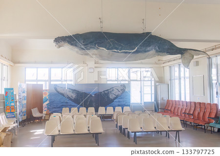 Humpback whale and dolphin motifs in the waiting room. Zamami Port, Zamami Island, Kerama Islands, Shimajiri District, Okinawa Prefecture - 2025 Humpback whale and dolphin motifs in the waiting room. Zamami Port, Zamami Island, Kerama Islands, Shimajiri District, Okinawa Prefecture - 2025 133797725