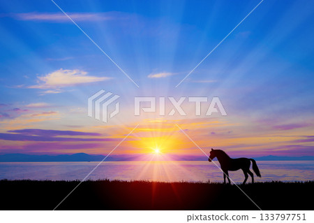 馬剪影 133797751