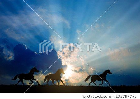 Horse silhouette 133797753