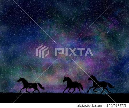 Horse silhouette Horse silhouette 133797755