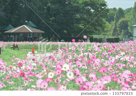 陽光下閃閃發光的宇宙星空照片 陽光下閃閃發光的宇宙星空照片 133797833