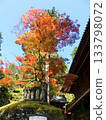 Nikko Scenery-8 133798072