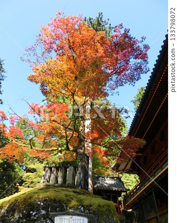 Nikko Scenery-8 133798072