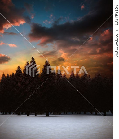 Fir tree forest in snowy landscape 133798156