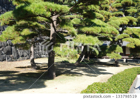 皇宮衛兵室 皇宮衛兵室 133798519