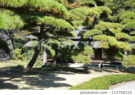 皇宮衛兵室 皇宮衛兵室 133798520