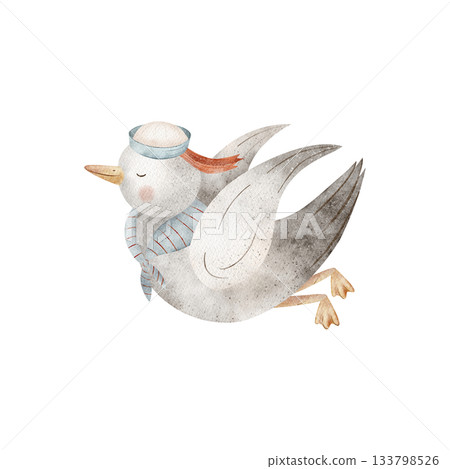Seagull in flight, wearing sailor's cap. Watercolor illustrations birds, doves, seabirds hand-drawn in nautical children's style. Image isolated from background for designing cards posters stickers Seagull in flight, wearing sailor's cap. Watercolor illustrations birds, doves, seabirds hand-drawn in nautical children's style. Image isolated from background for designing cards posters stickers 133798526