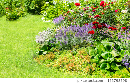 Colorful spring flowers grow in a flowerbed in a beautiful garden. A beautiful spring garden with vibrant flowers. 133798598