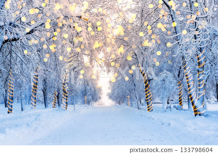 Winter landscape in a park with trees decorated with Christmas garlands. Christmas winter background with garland lights. Holiday background. Winter landscape in a park with trees decorated with Christmas garlands. Christmas winter background with garland lights. Holiday background. 133798604