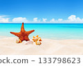 Seashells and starfish on white sandy beach with turquoise water background. Summer beach with strafish and shells 133798623
