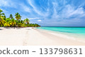 Panorama of perfect white sandy beach with coconut palm trees in Caribbean sea, Saona island. Dominican Republic. Summer beach concept. 133798631