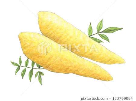 Herring roe watercolor pencil illustration 133799094
