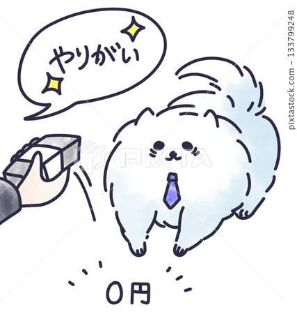 Pomeranians who are exploited by working adults 133799248
