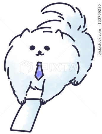 博美犬成年工作犬提交文件 133799250