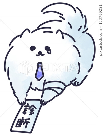 A working Pomeranian submitting a medical certificate 133799251