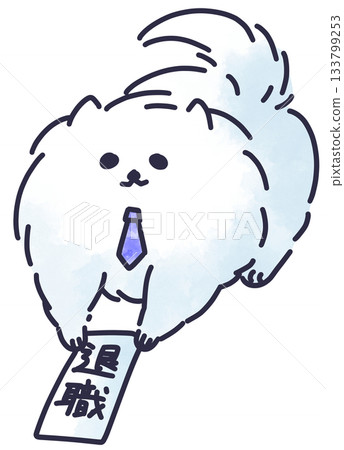 A working Pomeranian submitting his resignation letter 133799253
