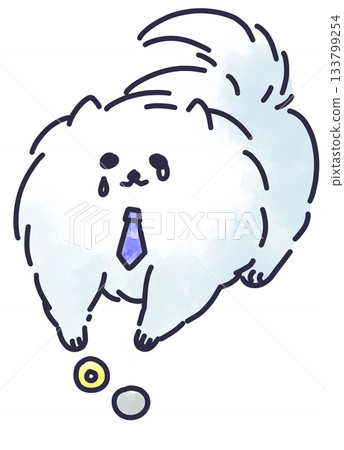 Pomeranian of a working adult who is not paid enough 133799254