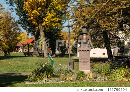 Statue of Knight Targu Mures Fortress Park Autumn Foliage 133799294