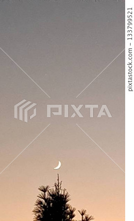 新月 133799521