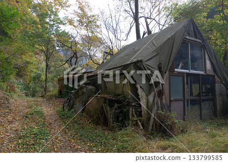 森林秋景/邊緣村莊秋景－里山廢棄的房屋和廢墟 133799585