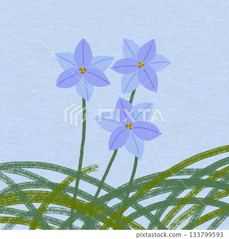 Purple flowers, lily of the valley Purple flowers, lily of the valley 133799593