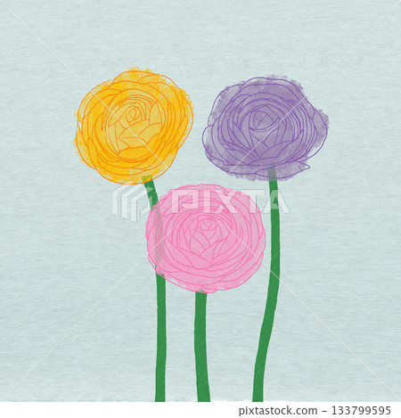 Ranunculus Ranunculus 133799595