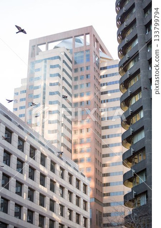 Low angle view of modern buildings against sky Low angle view of modern buildings against sky 133799794
