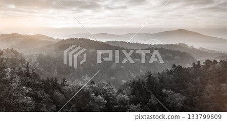 Scenic view of tree mountains 133799809