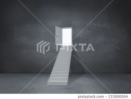 Open door at top of steps 133800084