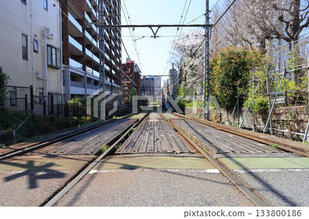 Tokyo Sakura Tram tracks on a straight section in Takada, Toshima Ward 133800186