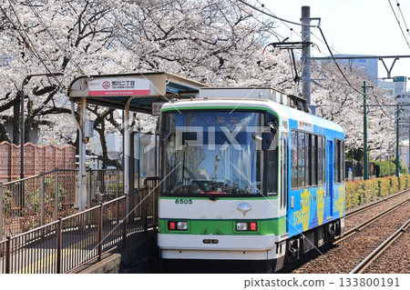 東京櫻花號電車停靠荒川二丁目站 133800191