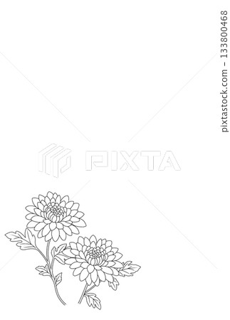 哀悼明信片〈菊花〉 A-1 133800468