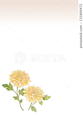哀悼明信片〈菊花〉 A-5 哀悼明信片〈菊花〉 A-5 133800472