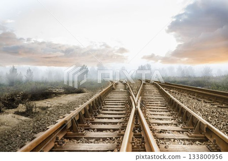 Railway tracks leading to misty forest Railway tracks leading to misty forest 133800956