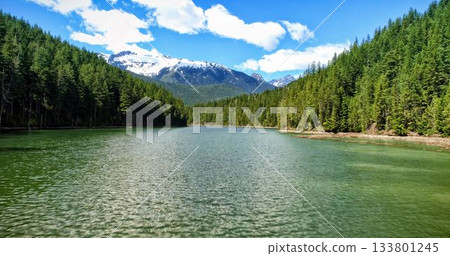Idyllic shot of river amidst forest 133801245