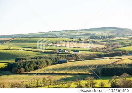 Scenic landscape with green hills 133801350