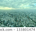 View from Taipei 101, Taiwan 133801474