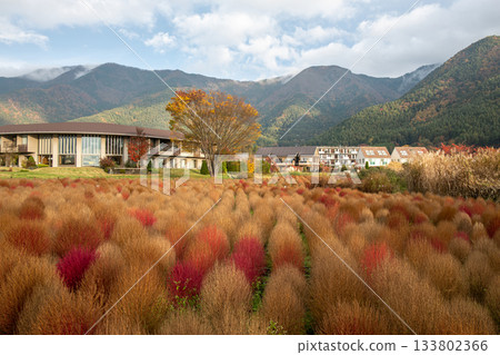 Lake Kawaguchi, Fujikawaguchiko, Minamitsuru District, Yamanashi, Japan, Autumn landscape with colorful bushes and buildings near mountain range Lake Kawaguchi, Fujikawaguchiko, Minamitsuru District, Yamanashi, Japan, Autumn landscape with colorful bushes and buildings near mountain range 133802366