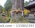 Kitaguchi Hongu Fuji Sengen, Kamiyoshida, Fujiyoshida, Yamanashi, Japan - Nov 18, 2024 : Sacred tree wrapped with rope in Japanese temple garden during autumn 133802393