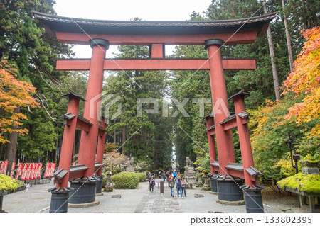 Kitaguchi Hongu Fuji Sengen, Kamiyoshida, Fujiyoshida, Yamanashi, Japan - Nov 18, 2024 : Red torii gate at forest entrance with visitors walking in autumn park 133802395