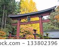 Kitaguchi Hongu Fuji Sengen, Kamiyoshida, Fujiyoshida, Yamanashi, Japan - Nov 18, 2024 : Traditional red torii gate in Japanese forest during autumn season 133802396
