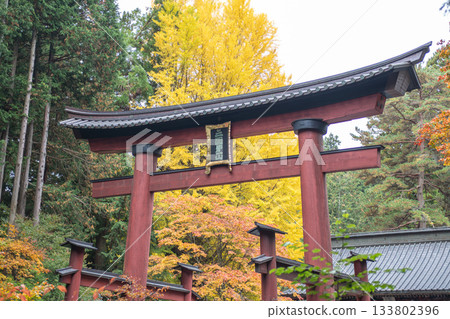 Kitaguchi Hongu Fuji Sengen, Kamiyoshida, Fujiyoshida, Yamanashi, Japan - Nov 18, 2024 : Traditional red torii gate in Japanese forest during autumn season 133802396