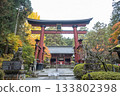 Kitaguchi Hongu Fuji Sengen, Kamiyoshida, Fujiyoshida, Yamanashi, Japan - Nov 18, 2024 : Traditional red torii gate at Japanese temple surrounded by autumn trees 133802398