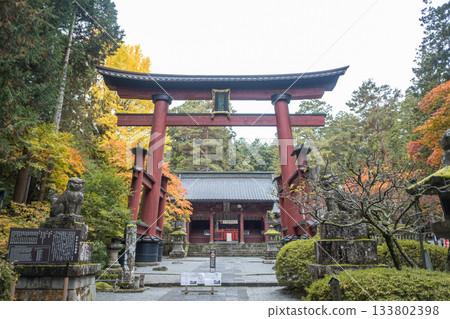 Kitaguchi Hongu Fuji Sengen, Kamiyoshida, Fujiyoshida, Yamanashi, Japan - Nov 18, 2024 : Traditional red torii gate at Japanese temple surrounded by autumn trees 133802398