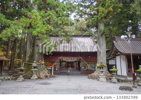 Kitaguchi Hongu Fuji Sengen, Kamiyoshida, Fujiyoshida, Yamanashi, Japan - Nov 18, 2024 : Traditional Japanese shrine surrounded by cedar trees in forest setting 133802399