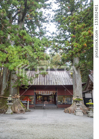 Kitaguchi Hongu Fuji Sengen, Kamiyoshida, Fujiyoshida, Yamanashi, Japan - Nov 18, 2024 : Traditional Japanese shrine entrance framed by large cedar trees in peaceful forest 133802401